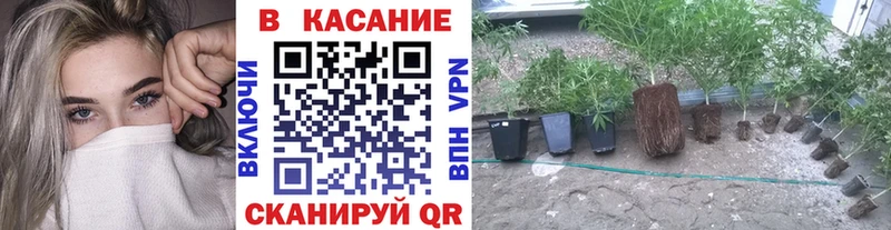 Что такое Тавда Амфетамин ЭКСТАЗИ Меф ГАШИШ Марихуана
