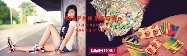 шишки Горняк