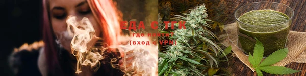 шишки Горняк