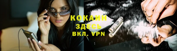 шишки Горняк