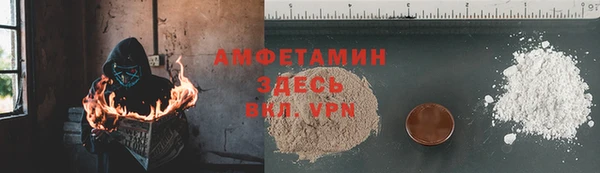 шишки Горняк