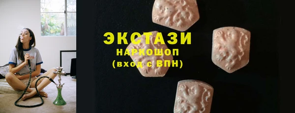 шишки Горняк
