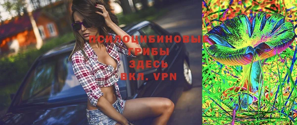 мяу мяу мука Гусев