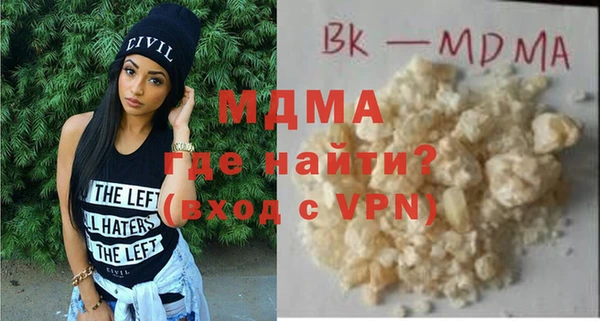 шишки Горняк