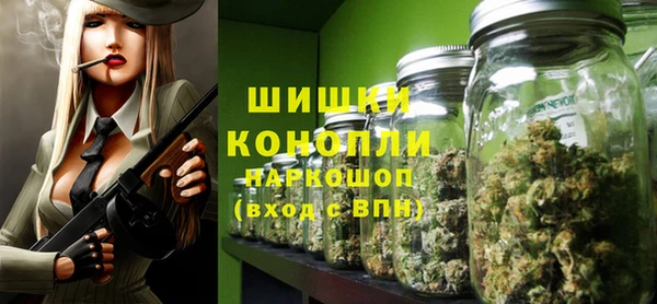 шишки Горняк