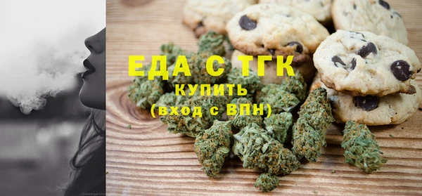 шишки Горняк