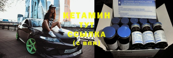 шишки Горняк