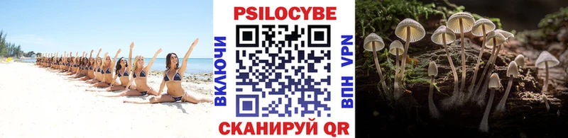 Псилоцибиновые грибы Magic Shrooms omg ТОР Тавда
